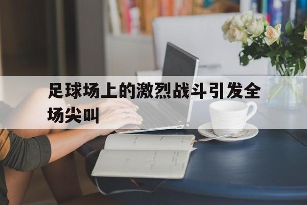 足球场上的激烈战斗引发全场尖叫的简单介绍